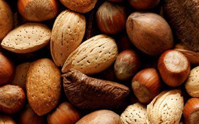 FRUTOS SECOS, PEQUEÑAS MARAVILLAS DE LA NATURALEZA